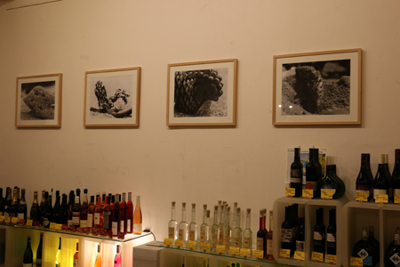 macro - mer exhibition